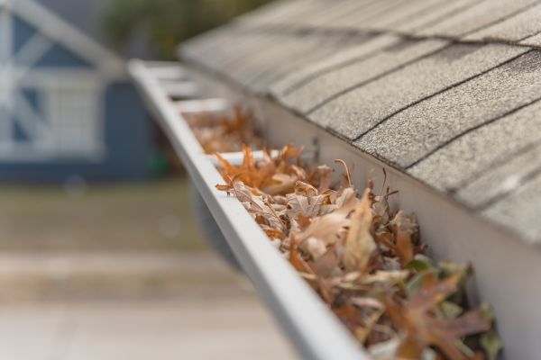 Leaf Barrier Installation in Dade City